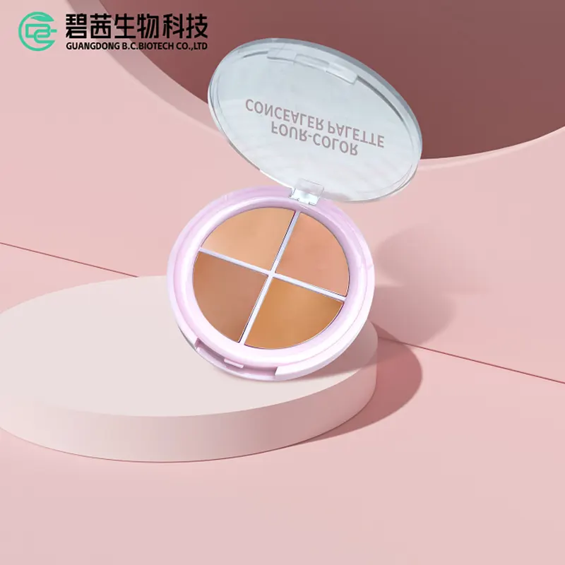 4 χρώματα Concealer Kit